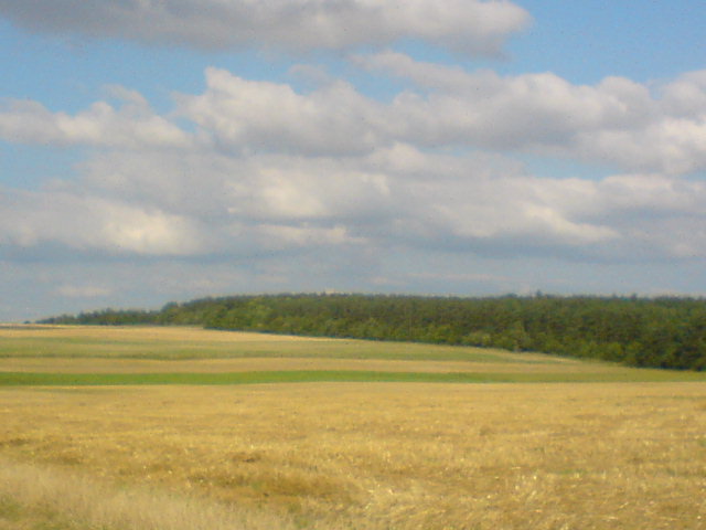 DSC00020.JPG