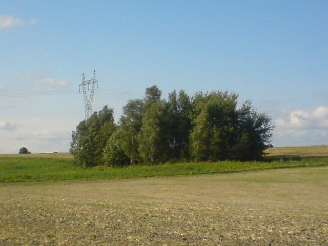 DSC00025.JPG