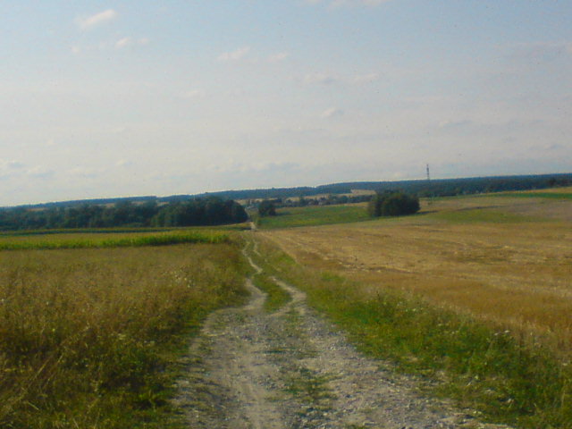 DSC00024.JPG
