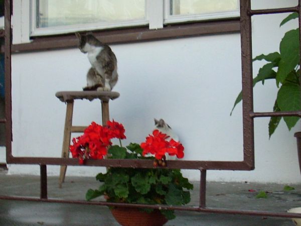 j 022.jpg
