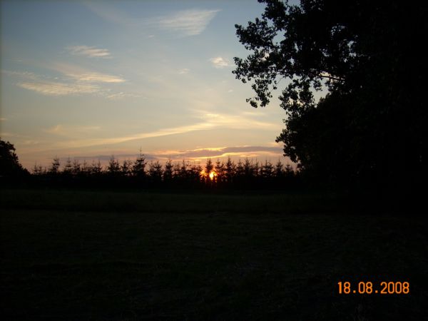 j 010.jpg