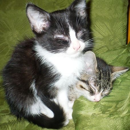 Schatzi i Bruno.JPG