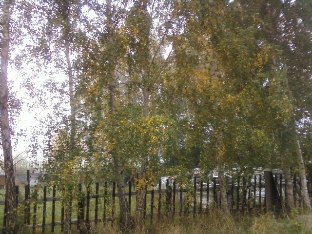 Zdjęcia-0019.jpg
